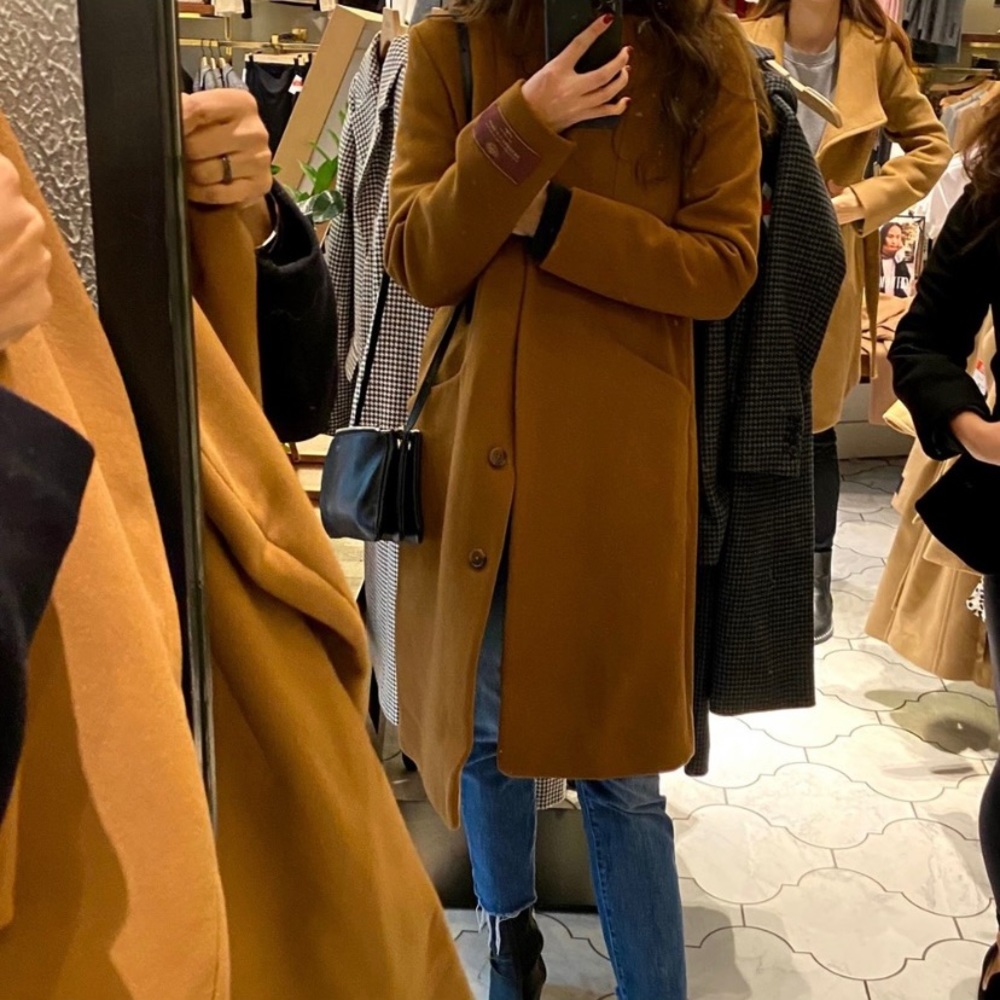 Aritzia Wilfred Cocoon Coat - Full length